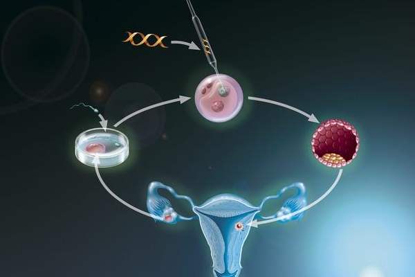 吉林试管移植胚胎数量越多越好吗？ 