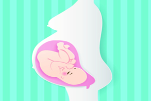 吉林胚胎移植后需要注意什么
